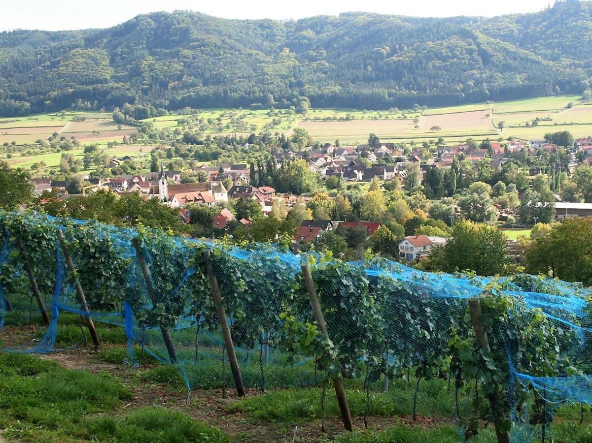 Sternen Bohlingen Aparthotel Singen Exteriör bild