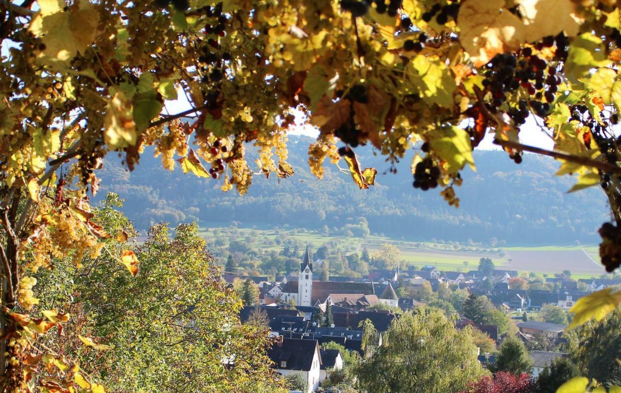 Sternen Bohlingen Aparthotel Singen Exteriör bild